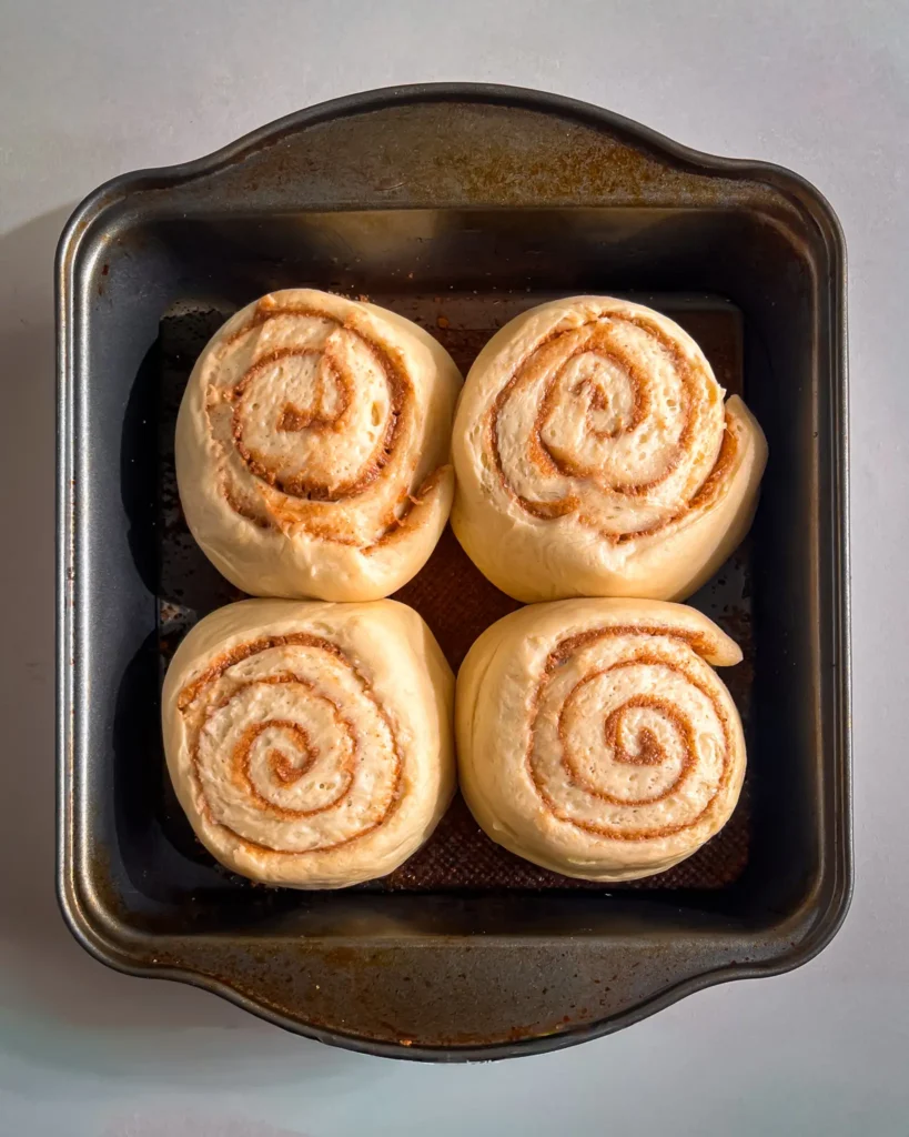 proofing small batch cinnamon rolls eggless and dairyfree